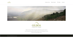 Desktop Screenshot of gilboafunds.com
